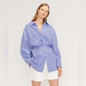Everlane Oversized Blue Button Down Poplin Shirt